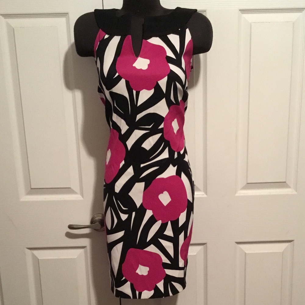 ♥️$14 BUY & FLY SALE Dress Barn dress Sz.16